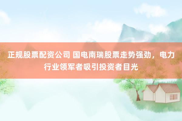 正规股票配资公司 国电南瑞股票走势强劲，电力行业领军者吸引投资者目光