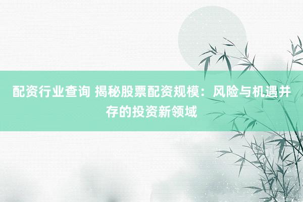 配资行业查询 揭秘股票配资规模：风险与机遇并存的投资新领域