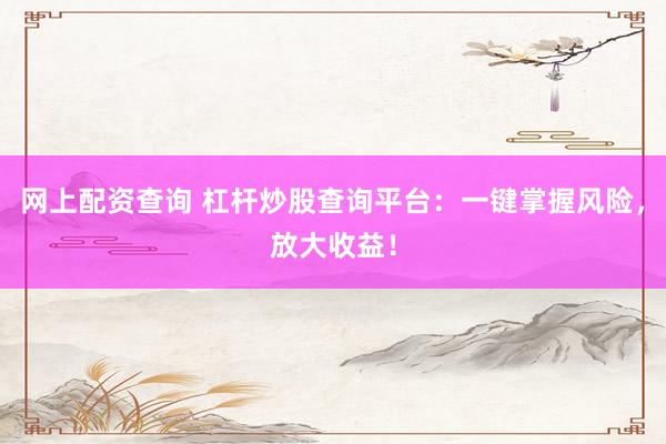 网上配资查询 杠杆炒股查询平台：一键掌握风险，放大收益！