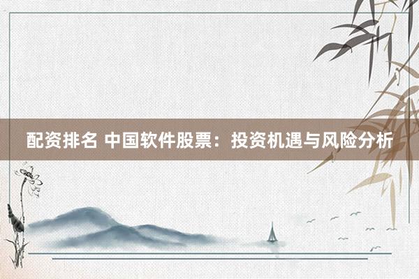 配资排名 中国软件股票：投资机遇与风险分析