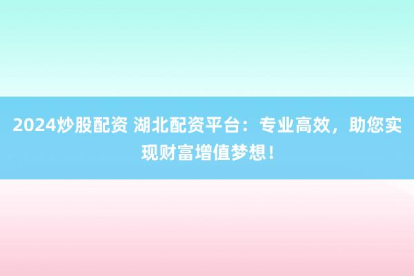 2024炒股配资 湖北配资平台:专业高效,助您实现财富增值梦想!