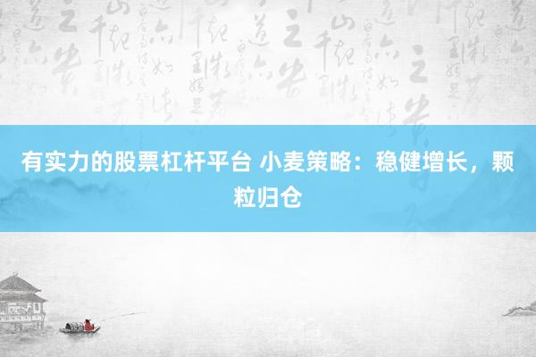 有实力的股票杠杆平台 小麦策略：稳健增长，颗粒归仓