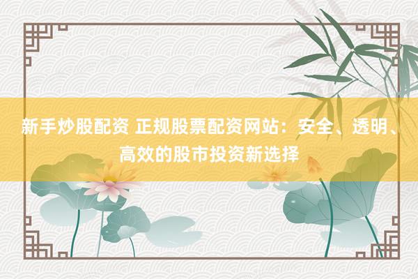 新手炒股配资 正规股票配资网站：安全、透明、高效的股市投资新选择