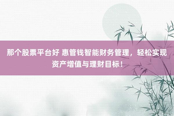 那个股票平台好 惠管钱智能财务管理，轻松实现资产增值与理财目标！