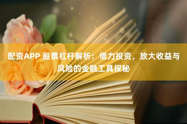 配资APP 股票杠杆解析：借力投资，放大收益与风险的金融工具探秘