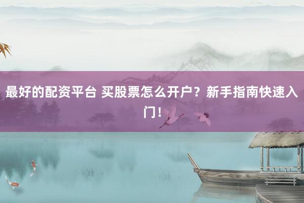 最好的配资平台 买股票怎么开户?新手指南快速入门!