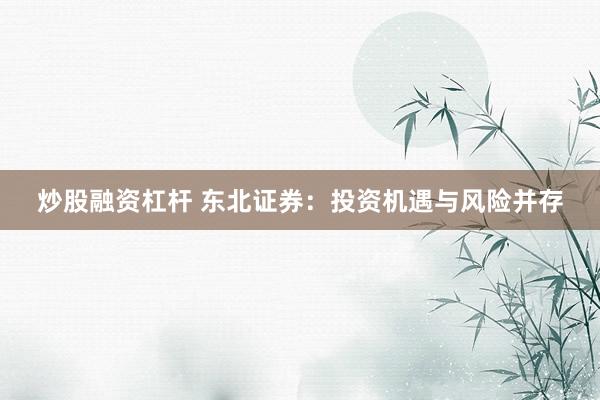 炒股融资杠杆 东北证券:投资机遇与风险并存