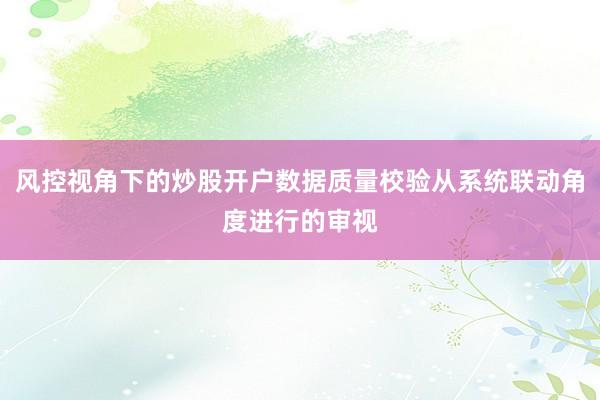 风控视角下的炒股开户数据质量校验从系统联动角度进行的审视