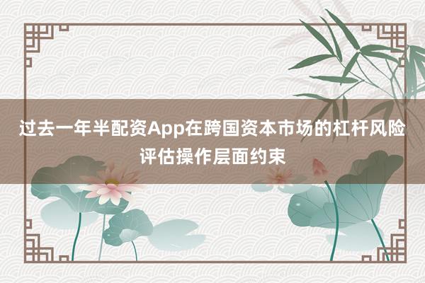 过去一年半配资App在跨国资本市场的杠杆风险评估操作层面约束