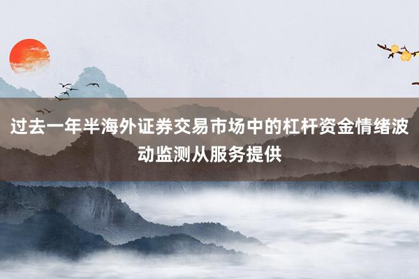 过去一年半海外证券交易市场中的杠杆资金情绪波动监测从服务提供