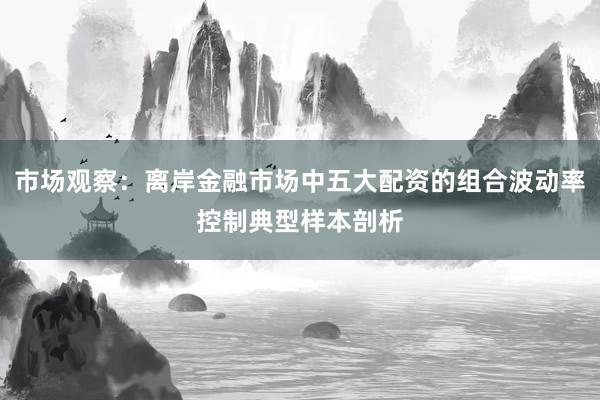 市场观察：离岸金融市场中五大配资的组合波动率控制典型样本剖析