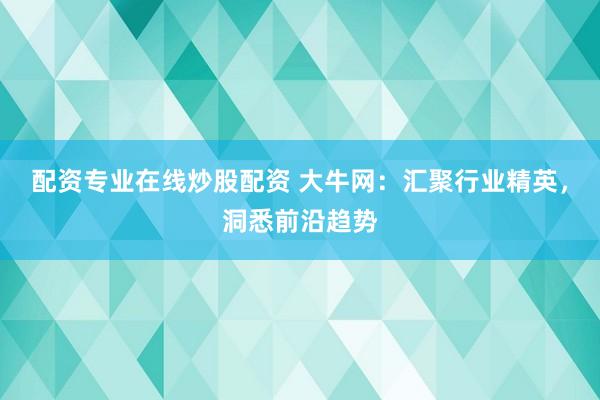 配资专业在线炒股配资 大牛网：汇聚行业精英，洞悉前沿趋势