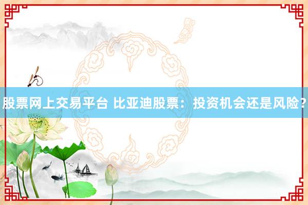 股票网上交易平台 比亚迪股票：投资机会还是风险？