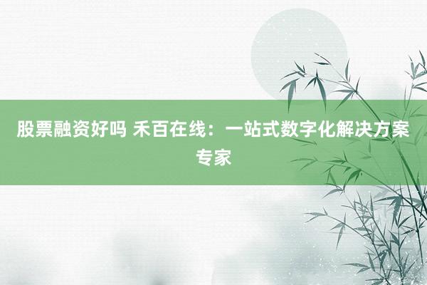 股票融资好吗 禾百在线：一站式数字化解决方案专家