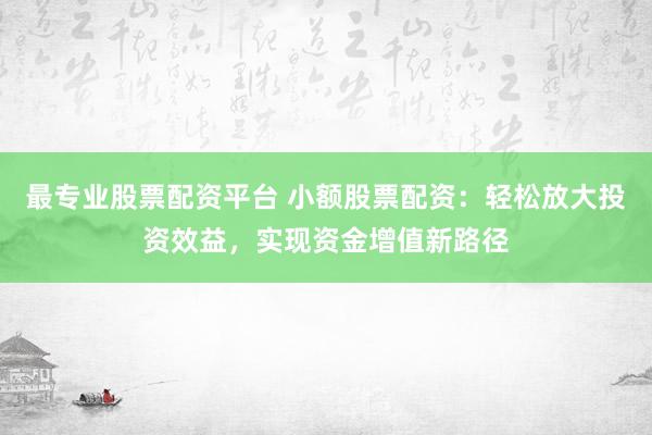 最专业股票配资平台 小额股票配资：轻松放大投资效益，实现资金增值新路径